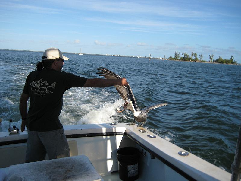 Picture 007